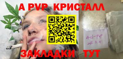 сатива Кингисепп