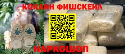 сатива Кингисепп
