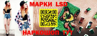 сатива Кингисепп