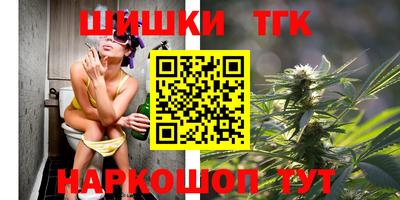 сатива Кингисепп