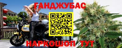 сатива Кингисепп