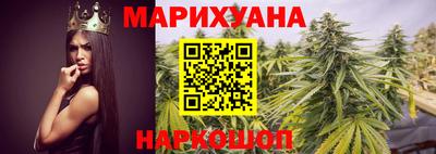 сатива Кингисепп