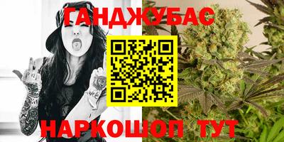 сатива Кингисепп