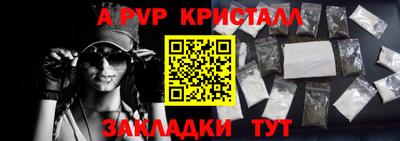 сатива Кингисепп