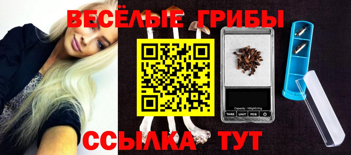 Галлюциногенные грибы Волоколамск