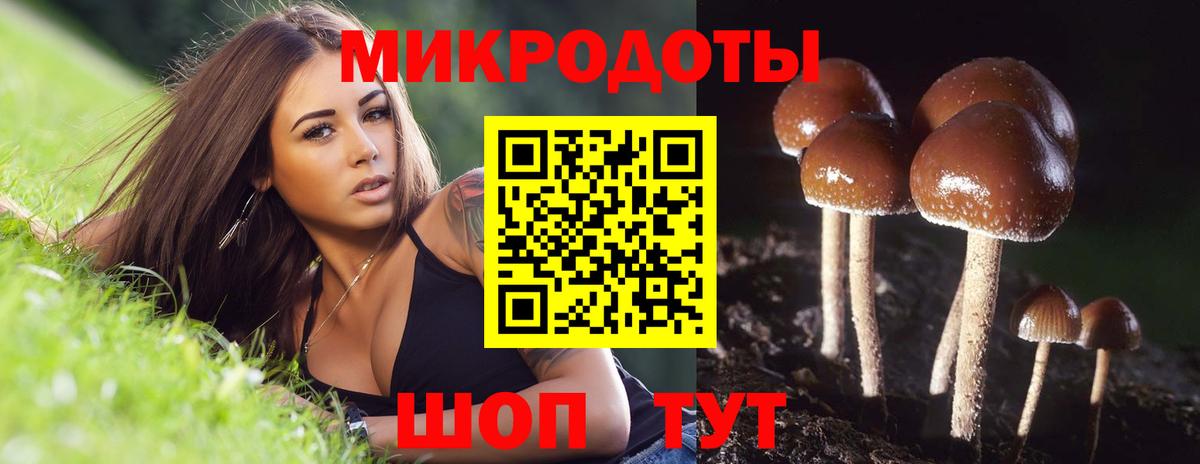 Волоколамск  Галлюциногенные грибы ЛСД  Вход с VPN 